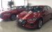 Cần bán xe Hyundai Elantra sản xuất 2019, màu đỏ