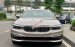 Cần bán xe BMW 5 Series 530i Luxury Line đời 2019, xe nhập