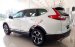 [SG -Giá tháng 10] Honda CRV 2019 - Tặng phụ kiện, tiền mặt, bảo hiểm, phụ kiện hấp dẫn - LH: 0901.898.383