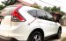 Hà Nội! Cần bán Honda CRV 2.0 AT sản xuất 2014 màu trắng xe biển Hà Nội 30A chính chủ