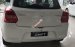 Cần bán Suzuki Swift 2019, màu trắng, nhập khẩu Thái