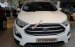 Bán ô tô Ford EcoSport Trend 1.5L AT đời 2019, màu trắng, xe hiện có sẵn - Đủ màu