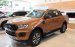 Sốc! Ford Ranger Wildtrak Biturbo đời 2019, màu cam, nhập khẩu, giảm giá sốc tặng kèm phụ kiện LH 0978212288