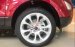Cần bán Ford EcoSport Titanium đời 2019, màu đỏ