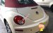 Cần bán Volkswagen New Beetle 2.5 AT đời 2007, màu kem (be), nhập khẩu giá cạnh tranh