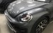 Bán Volkswagen New Beetle cao cấp đời 2019, màu xám (ghi), xe nhập
