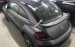 Bán Volkswagen New Beetle cao cấp đời 2019, màu xám (ghi), xe nhập