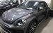Bán Volkswagen New Beetle cao cấp đời 2019, màu xám (ghi), xe nhập