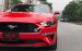 Giao ngay Ford Mustang Premium 2019 duy nhất 1 xe có sẵn giao ngay trên thị trường giá tốt, liên hệ sơn: 0868 93 5995