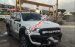 Bán lại xe Ford Ranger XLS MT năm 2017, màu trắng, nhập khẩu, chính chủ