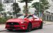 Giao ngay Ford Mustang Premium 2019 duy nhất 1 xe có sẵn giao ngay trên thị trường giá tốt, liên hệ sơn: 0868 93 5995