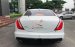 Bán ô tô Jaguar XJ series L Portfolio đời 2019, màu trắng, xe nhập
