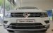 Volkswagen Tiguan trắng ngọc trai - 2019 - Trả trước chỉ từ 345 triệu - Ưu đãi tháng 5