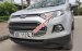 Bán Ford EcoSport 1.5 AT đời 2015, màu bạc 