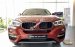 Bán BMW X6 sản xuất 2019, màu đỏ, nhập khẩu. Giá cực tốt