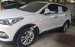 Cần bán xe Hyundai Santa Fe 2.2 CRDI đời 2018, màu trắng