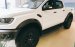 Bán ô tô Ford Ranger Raptor đời 2017, màu trắng, nhập khẩu chính hãng