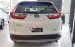 Cần bán Honda CR V 2019, màu trắng, nhập khẩu Thái Lan