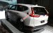 Honda Giải Phóng - Honda CR-V 2019 mới 100%, nhập khẩu nguyên chiếc - Đủ màu, giao ngay, LH 0903.273.696