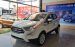 Bán ô tô Ford EcoSport 1.5 Titanium đời 2019, màu trắng, giá 610tr