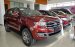 Bán ô tô Ford Everest đời 2019, màu đỏ, nhập khẩu nguyên chiếc, giá cạnh tranh