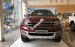 Bán xe Ford Everest sản xuất 2019, màu đỏ, nhập khẩu