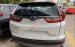 Bán Honda CR V sản xuất năm 2019, màu trắng