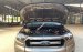 Bán Ford Ranger XLS 4X2 MT năm sản xuất 2016, màu xám, xe nhập, 500 triệu