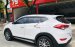 Bán Hyundai Tucson sản xuất 2016, nhập khẩu nguyên chiếc giá cạnh tranh