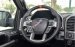 Cần bán xe Ford F 150 F150 Raptor đời 2019, màu đen, nhập khẩu