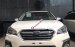 Bán ô tô Subaru Outback 2.5i-S EyeSight 2019, màu trắng, xe nhập