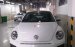 Bán xe Volkswagen Beetle 2018, màu trắng, nhập khẩu