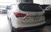 Cần bán Hyundai Santa Fe 4WD đời 2015, xe gia đình một chủ từ đầu, sơn zin