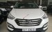 Cần bán Hyundai Santa Fe 4WD đời 2015, xe gia đình một chủ từ đầu, sơn zin