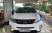 Cần bán Kia Sorento DATH sản xuất 2017, xe máy dầu, số tự động