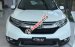 Cần bán xe Honda CR V 2019, màu trắng, nhập khẩu nguyên chiếc