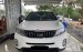 Bán xe để đi mỹ tôi cần bán Kia Sorento dầu cao cấp 2017