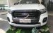 Bán Ford Ranger Wildtrack sản xuất năm 2019, màu trắng