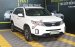 Bán Kia Sorento GAT 2.4AT năm sản xuất 2016, màu trắng