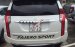 Cần bán Mitsubishi Pajero Sport Xăng đời 2018, màu trắng, xe nhập số tự động