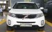 Bán Kia Sorento GAT 2.4AT năm sản xuất 2016, màu trắng