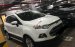 Bán xe Ford EcoSport Titanium 1.5 AT đời 2015, màu trắng, lăn bánh chưa đầy 30.000 km