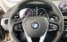 BMW 5 Series 530i - Luxury, nhập khẩu nguyên chiếc từ Đức, xe chuẩn từ Châu Âu - giảm giá mạnh