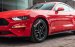 Giao ngay Ford Mustang 2.3 Ecoboost Premium 2019, màu đỏ, nhập Mỹ mới 100%