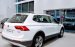 “Cơn sốt chất lượng” mang tên Volkswagen Tiguan - Khuyến mãi tháng 9 lên đến 207 triệu