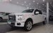 Bán Ford F 150 sản xuất 2017, màu trắng, xe nhập