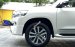 Cần bán xe Toyota Land Cruiser VX-R 2018 siêu lướt, nhập khẩu Trung Đông, LH 094.539.2468 Ms Hương