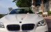 Cần bán gấp BMW 5 Series 520i đời 2015, màu trắng, nhập khẩu nguyên chiếc