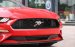 Bán ô tô Ford Mustang Convertible 2.3 Ecoboost đời 2019, màu đỏ, nhập khẩu