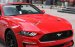 Bán ô tô Ford Mustang Convertible 2.3 Ecoboost đời 2019, màu đỏ, nhập khẩu